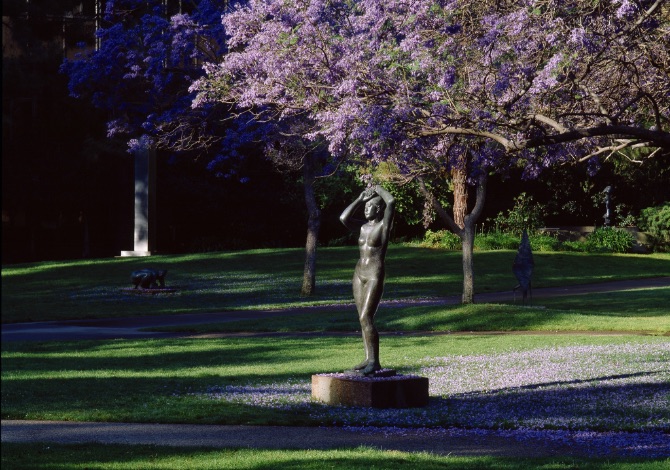 Sculpture underneath a blooming Jacaranda tree.